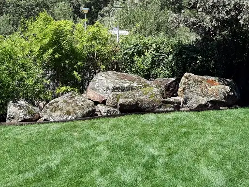 Rocalla y césped en un jardín con árboles