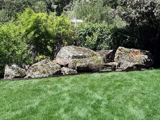 Rocalla y césped en un jardín con árboles