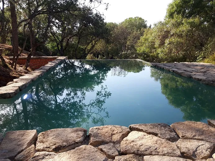 Piscina con borde de piedra irregular entre encinas